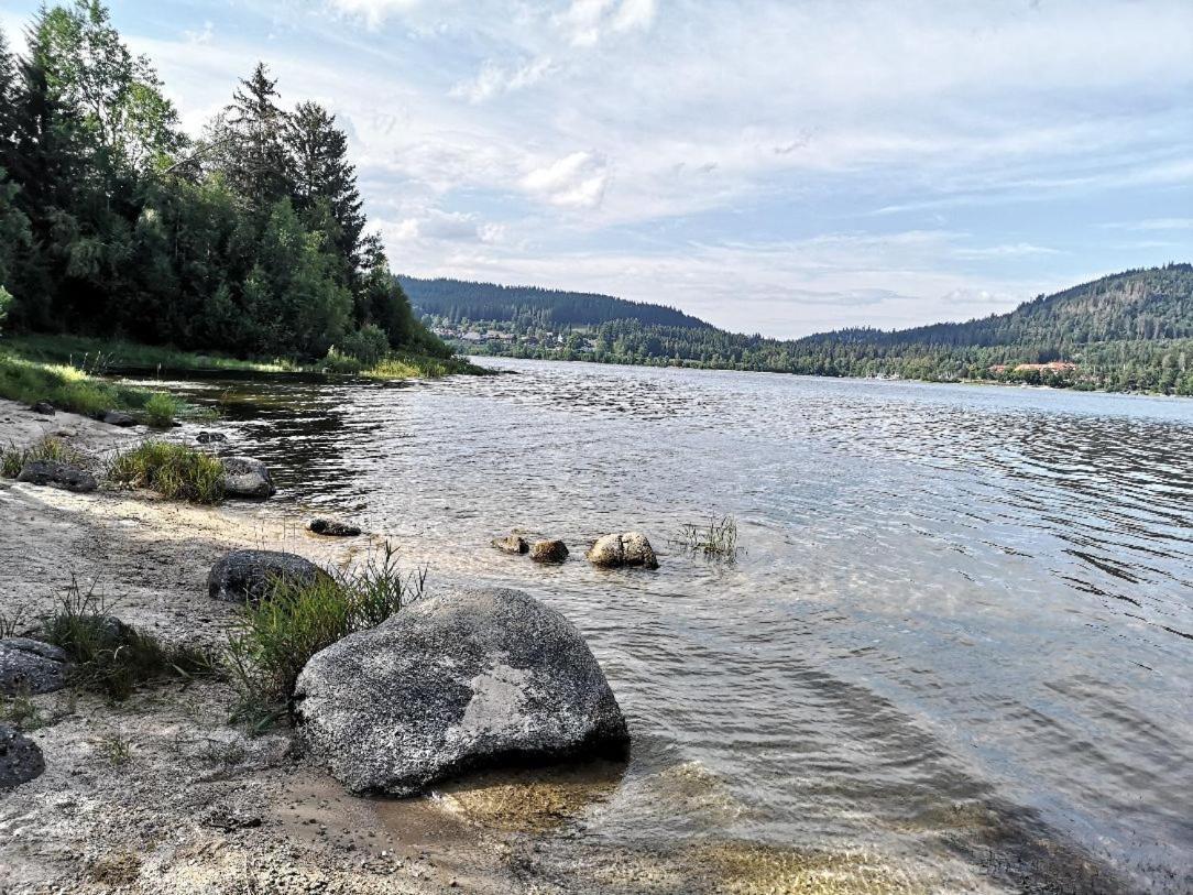 C1 Albmatte-Fewo Sauna, Hallenbad Aussenbecken Massagen Nebenan Menzenschwand Bagian luar foto