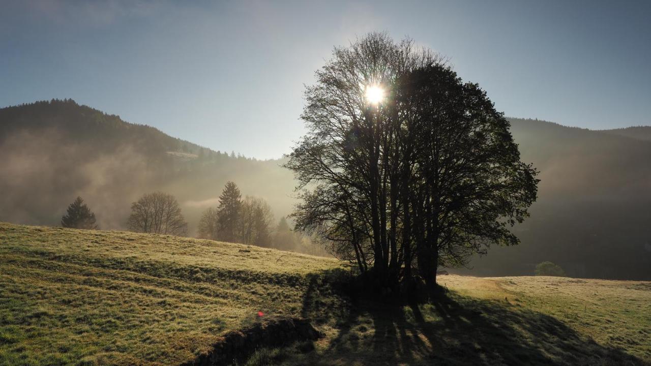 C1 Albmatte-Fewo Sauna, Hallenbad Aussenbecken Massagen Nebenan Menzenschwand Bagian luar foto
