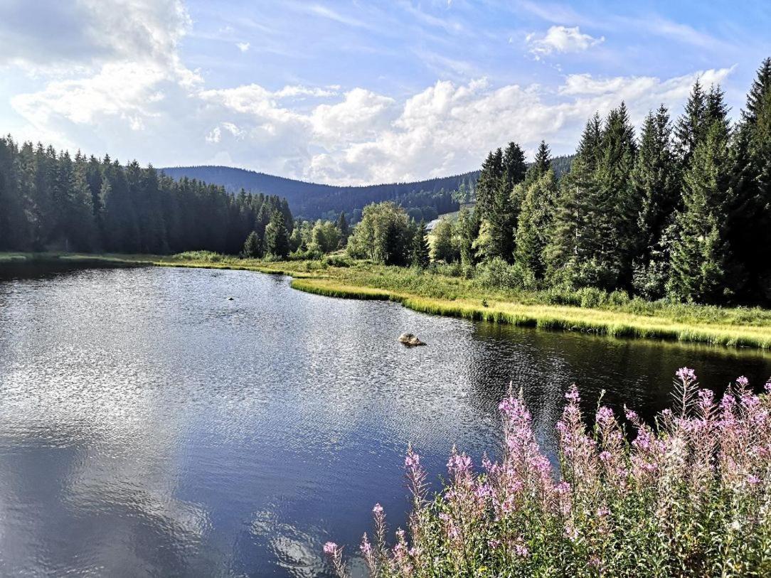 C1 Albmatte-Fewo Sauna, Hallenbad Aussenbecken Massagen Nebenan Menzenschwand Bagian luar foto