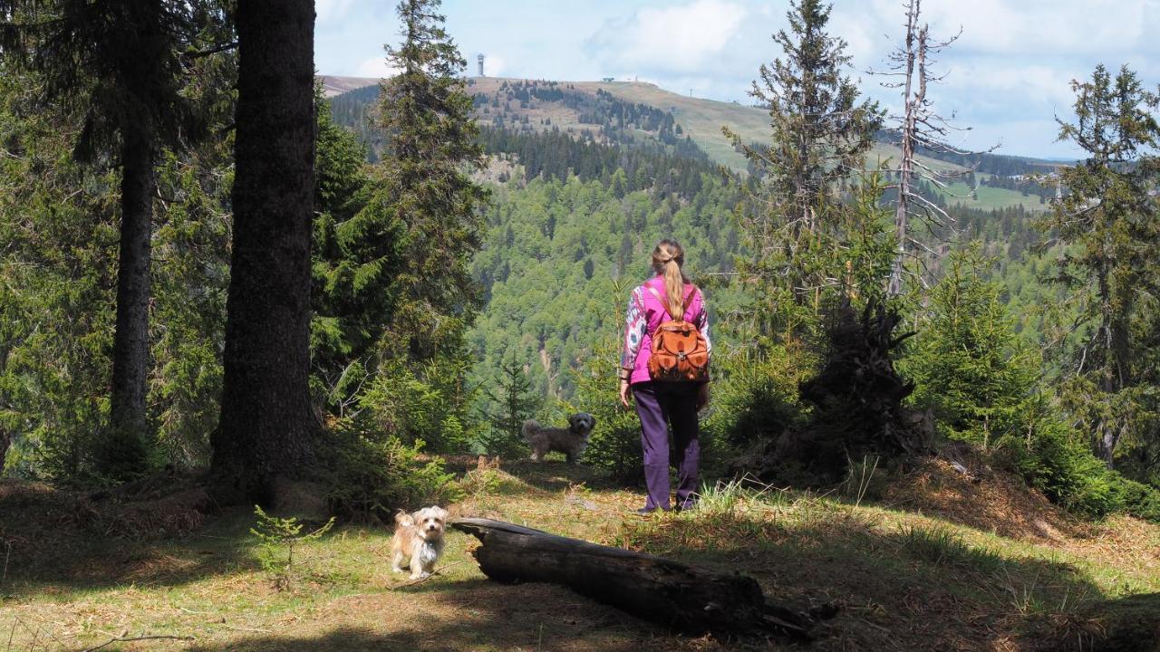 C1 Albmatte-Fewo Sauna, Hallenbad Aussenbecken Massagen Nebenan Menzenschwand Bagian luar foto