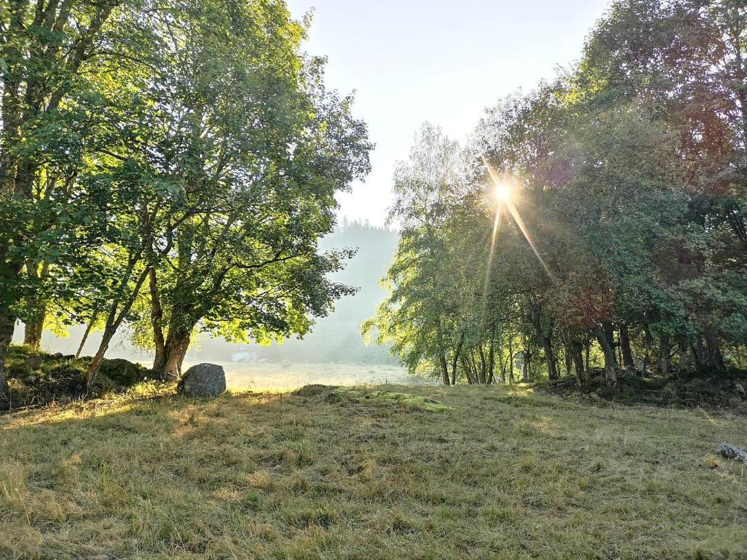 C1 Albmatte-Fewo Sauna, Hallenbad Aussenbecken Massagen Nebenan Menzenschwand Bagian luar foto