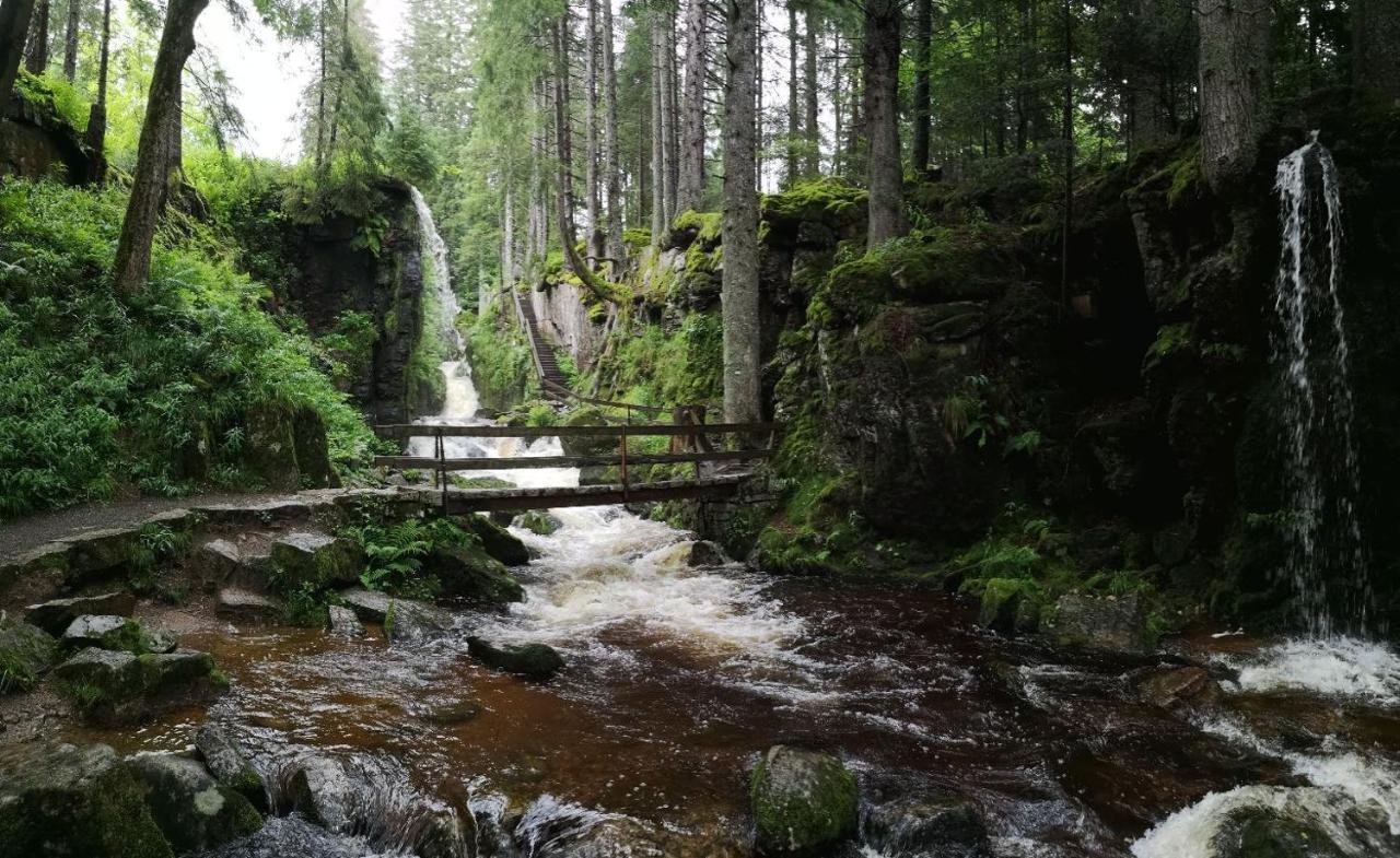 C1 Albmatte-Fewo Sauna, Hallenbad Aussenbecken Massagen Nebenan Menzenschwand Bagian luar foto