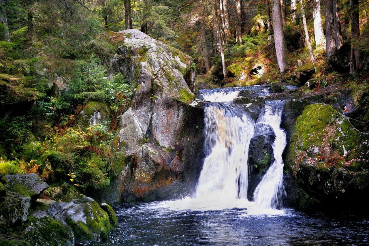 C1 Albmatte-Fewo Sauna, Hallenbad Aussenbecken Massagen Nebenan Menzenschwand Bagian luar foto