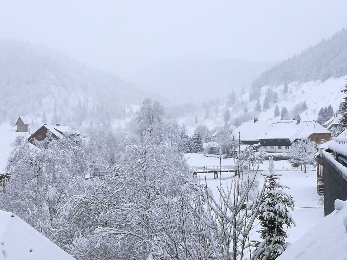 C1 Albmatte-Fewo Sauna, Hallenbad Aussenbecken Massagen Nebenan Menzenschwand Bagian luar foto