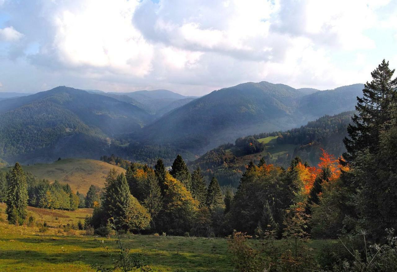 C1 Albmatte-Fewo Sauna, Hallenbad Aussenbecken Massagen Nebenan Menzenschwand Bagian luar foto