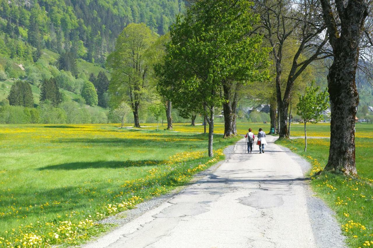 C1 Albmatte-Fewo Sauna, Hallenbad Aussenbecken Massagen Nebenan Menzenschwand Bagian luar foto