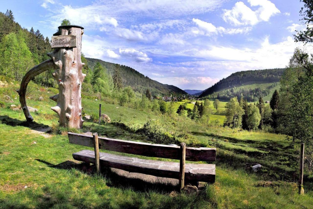 C1 Albmatte-Fewo Sauna, Hallenbad Aussenbecken Massagen Nebenan Menzenschwand Bagian luar foto