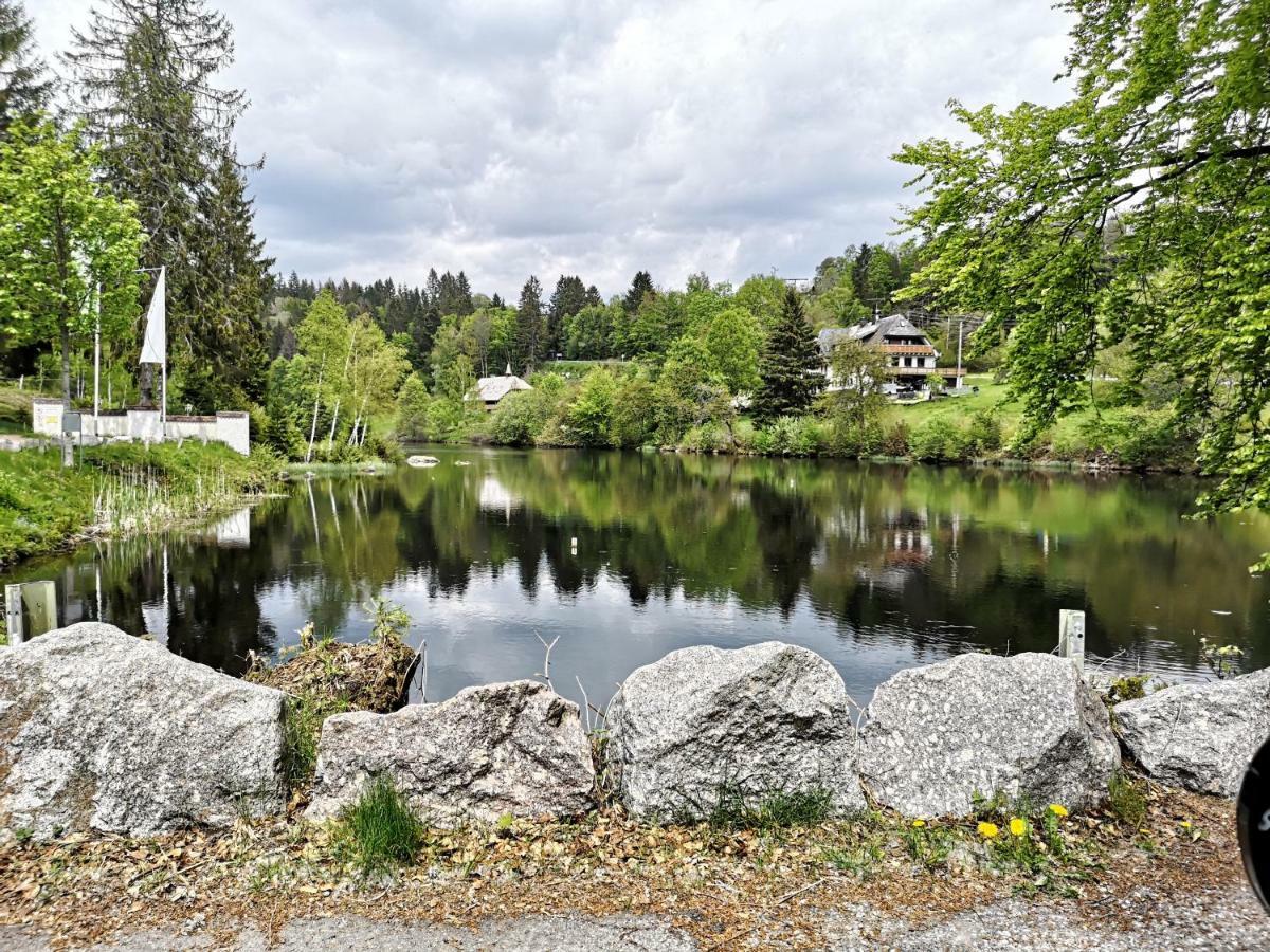 C1 Albmatte-Fewo Sauna, Hallenbad Aussenbecken Massagen Nebenan Menzenschwand Bagian luar foto