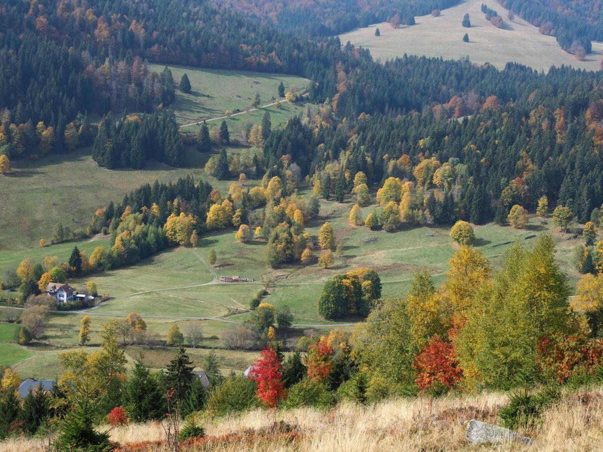 C1 Albmatte-Fewo Sauna, Hallenbad Aussenbecken Massagen Nebenan Menzenschwand Bagian luar foto